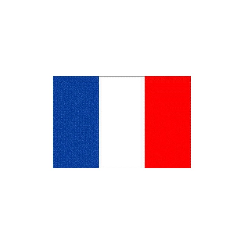 WW1 - WW2 - Drapeau Français