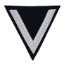 WW2 - Grade d'épaule Luftwaffe - SS - au choix - NOIR